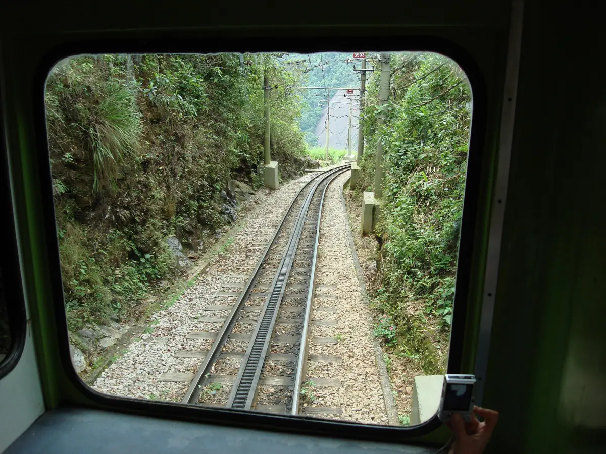 Cog railway track through the forest seen from the train