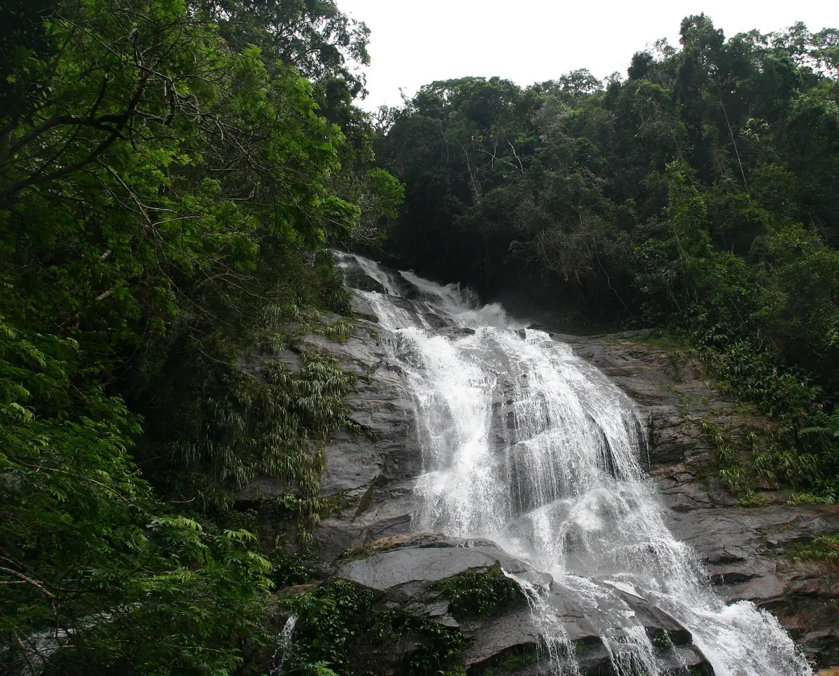 Waterfall in the Tijuca Forest
